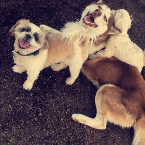 Meet your Posher, Samantha